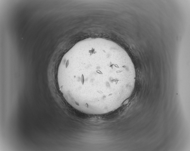 X0000101471489200807281009