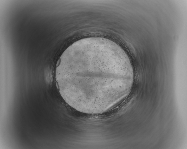 X0000101471490200807281009