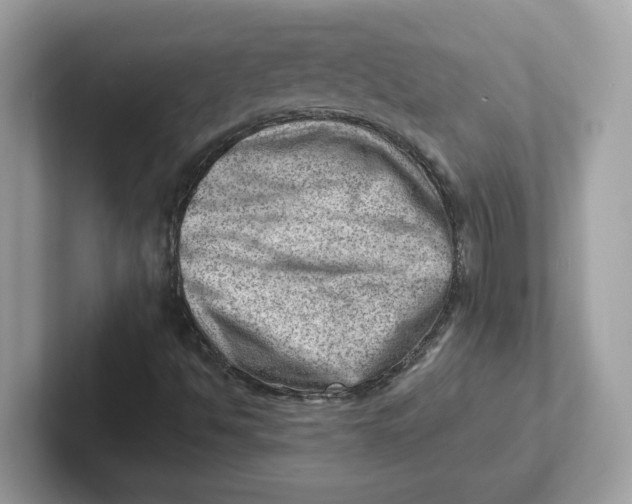 X0000101471494200807281009