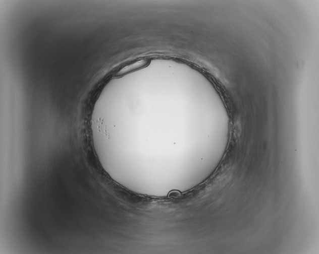 X0000101471496200807281009