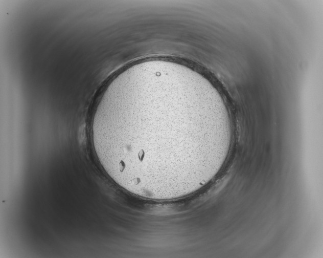 X0000101471497200807281009