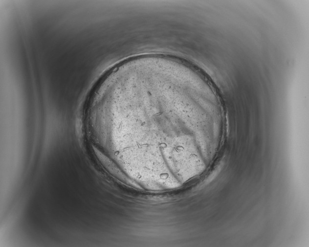 X0000101471501200807281009