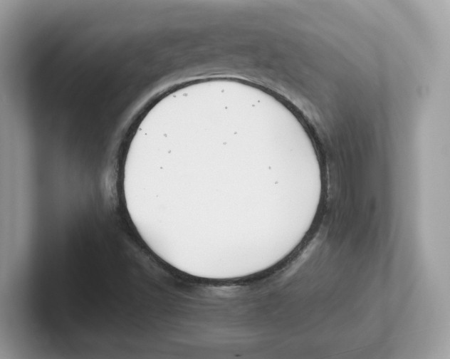 X0000101471502200807281009