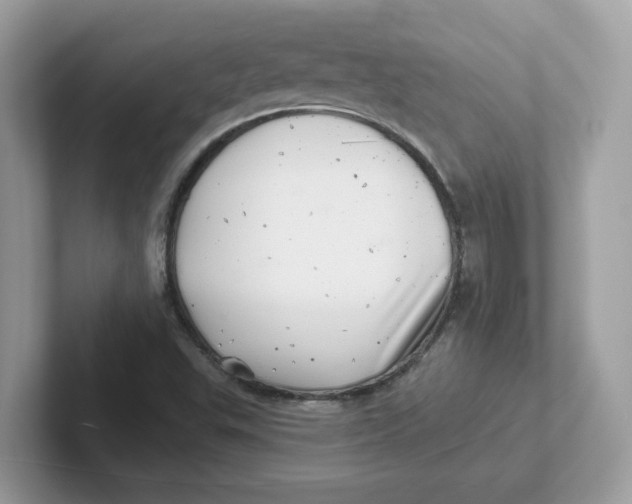 X0000101471503200807281009