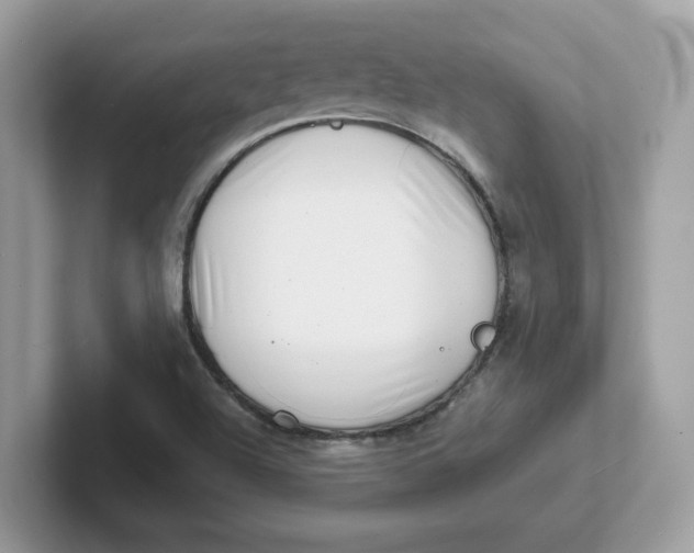 X0000101471504200807281009