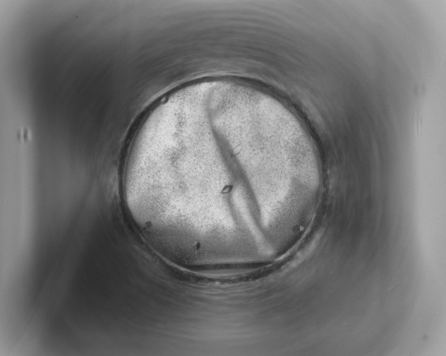 X0000101471505200807281009