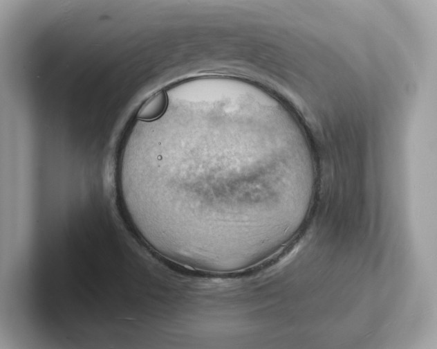 X0000101471506200807281009