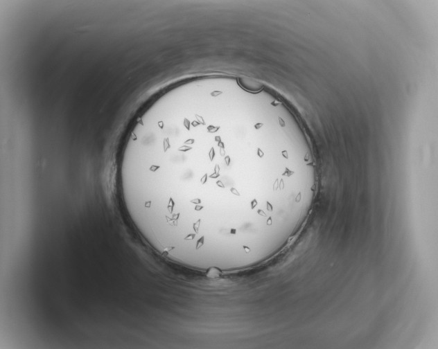 X0000101471507200807281009