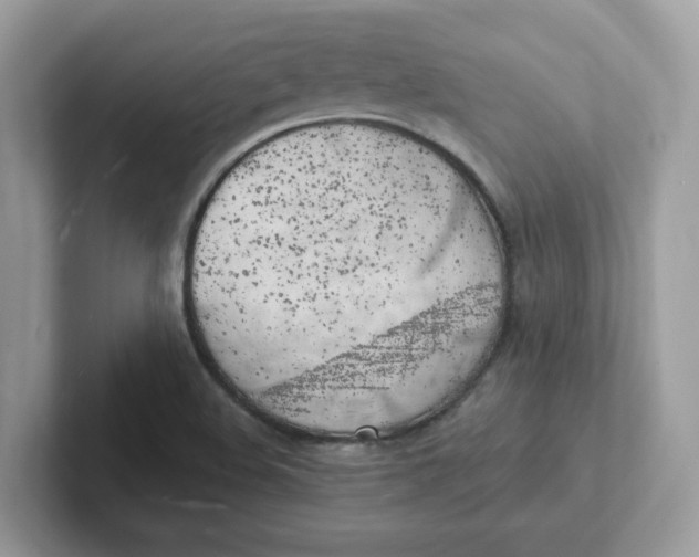 X0000101471508200807281009