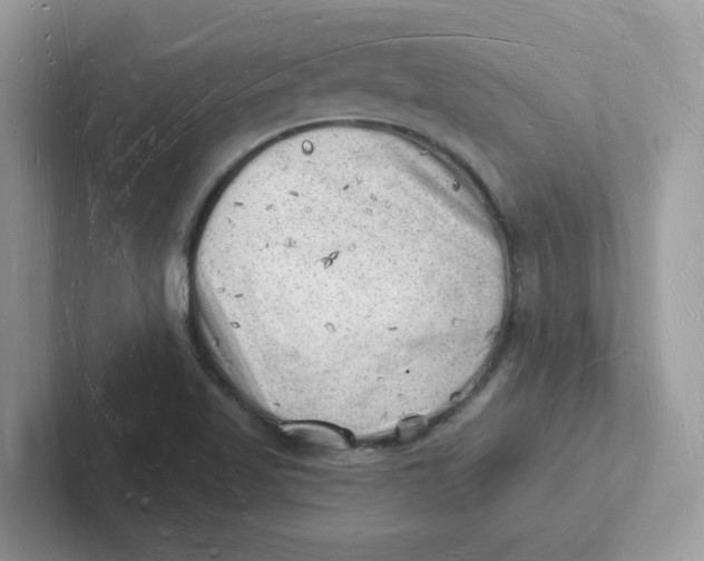 X0000101471509200807281009