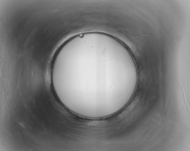 X0000101471510200807281009