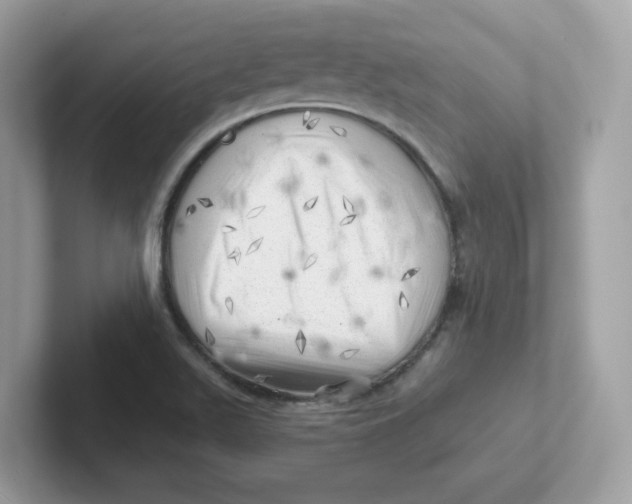 X0000101471511200807281009