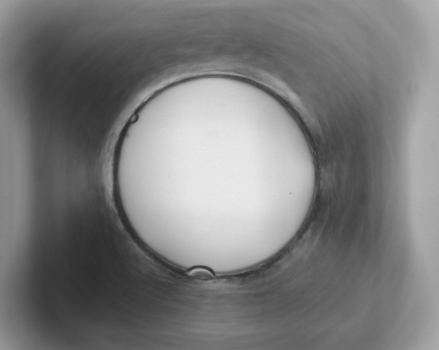 X0000101471512200807281009