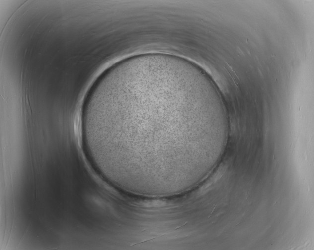 X0000101471515200807281009