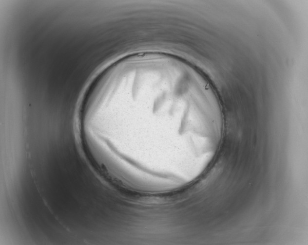 X0000101471517200807281009