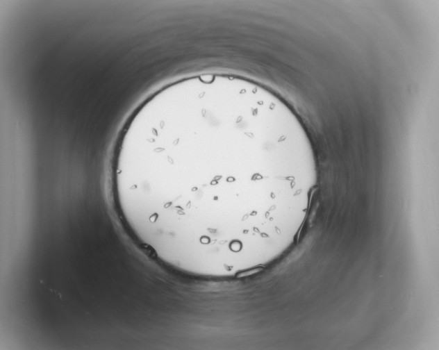 X0000101471518200807281009