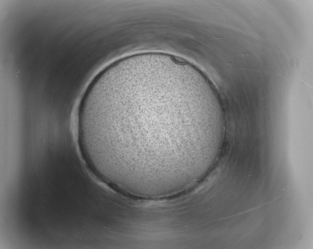 X0000101471519200807281009