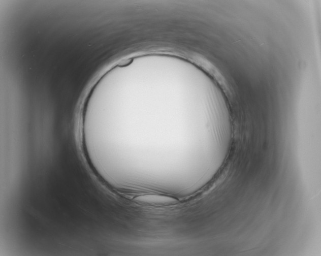 X0000101471520200807281009