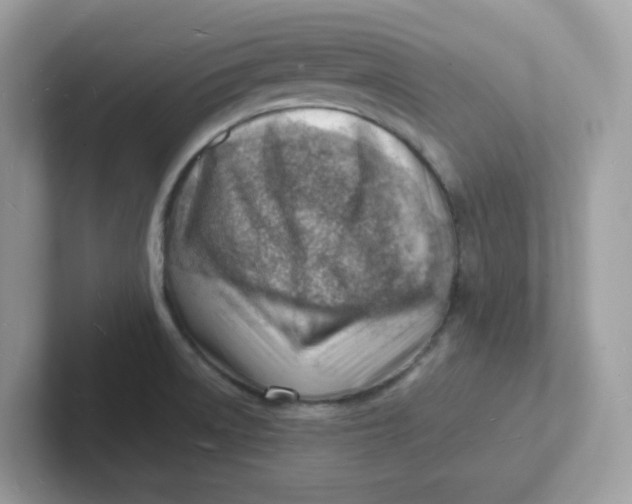 X0000101471522200807281009