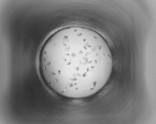 X0000101471523200807281009