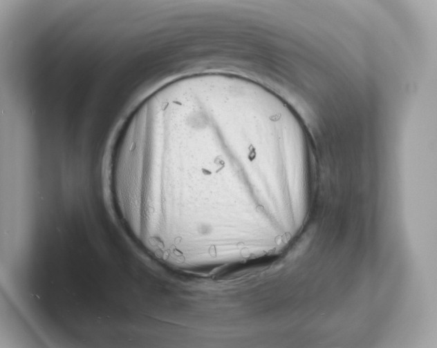 X0000101471525200807281009