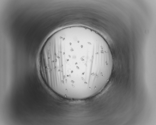 X0000101471526200807281009