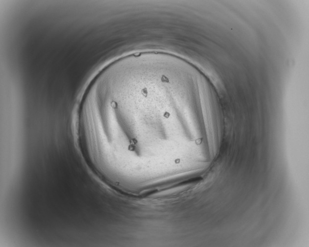 X0000101471527200807281009