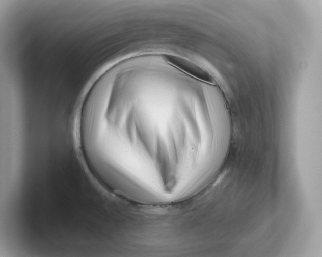 X0000101471528200807281009