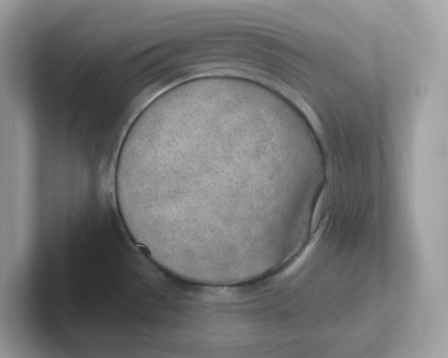 X0000101471529200807281009