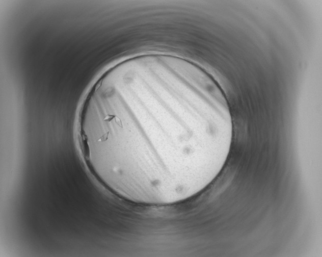 X0000101471531200807281009