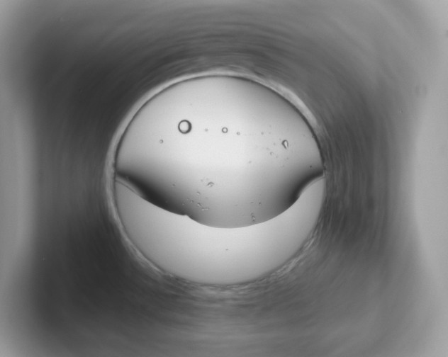 X0000101471532200807281009