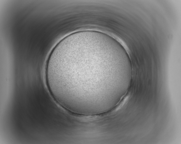 X0000101471533200807281009