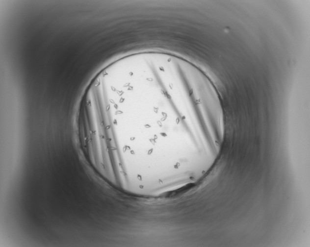 X0000101471534200807281009