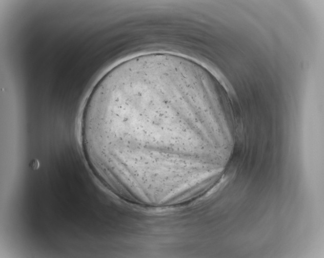 X0000101471535200807281009