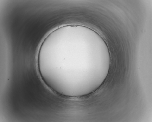 X0000101471536200807281009