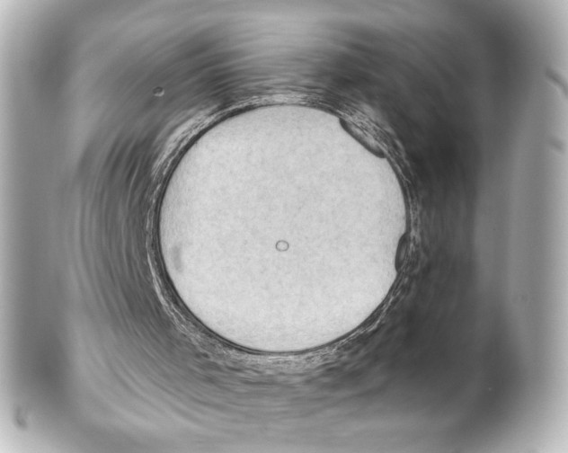 X0000101470001200808041116