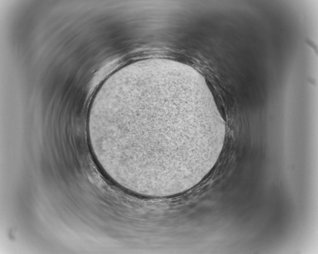 X0000101470004200808041116