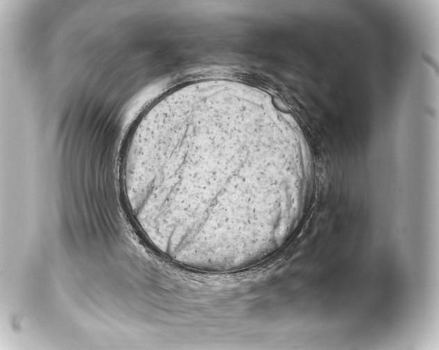 X0000101470006200808041116