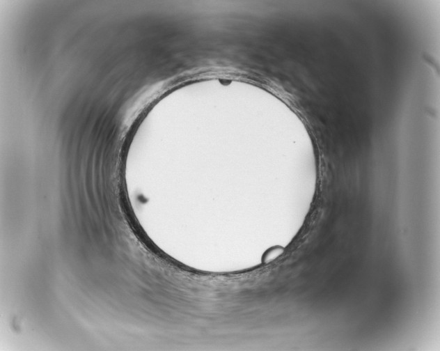 X0000101470007200808041116