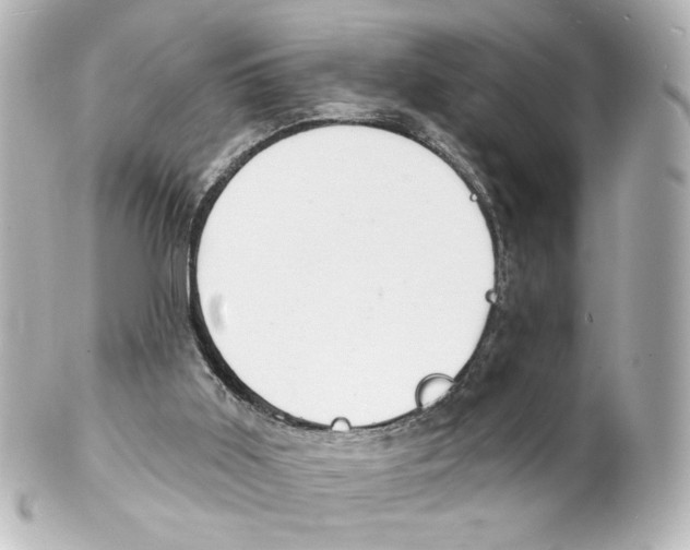 X0000101470011200808041116