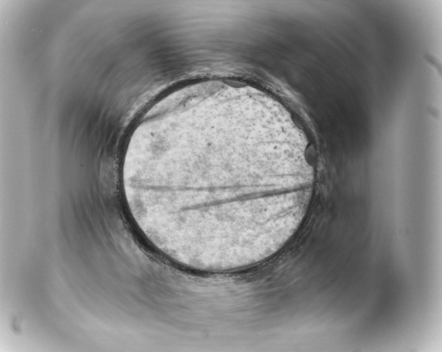 X0000101470012200808041116