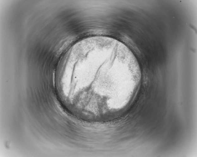 X0000101470014200808041116