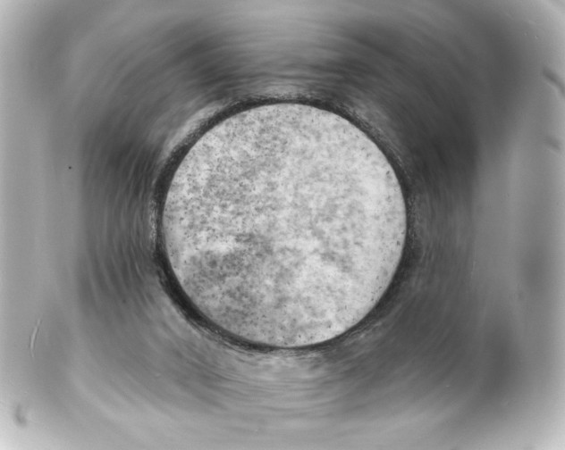 X0000101470016200808041116