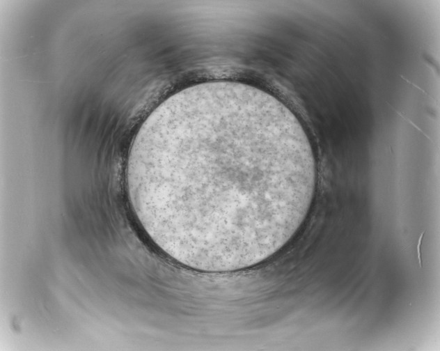 X0000101470018200808041116