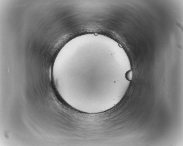 X0000101470019200808041116