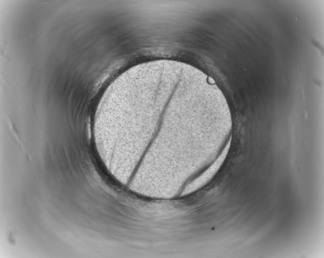 X0000101470020200808041116