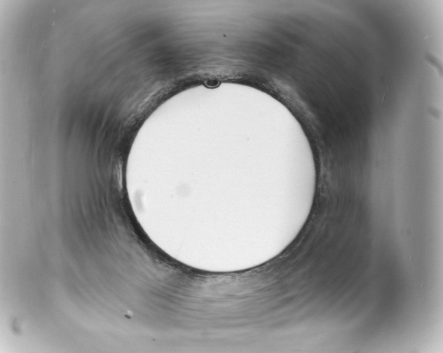 X0000101470021200808041116