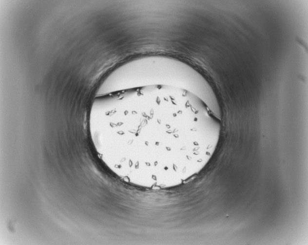 X0000101470024200808041116