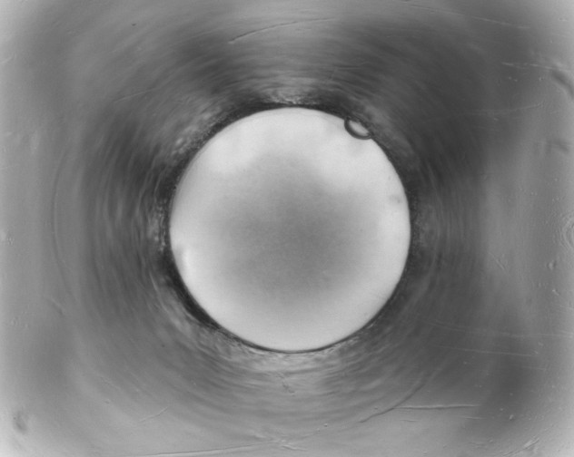 X0000101470031200808041116