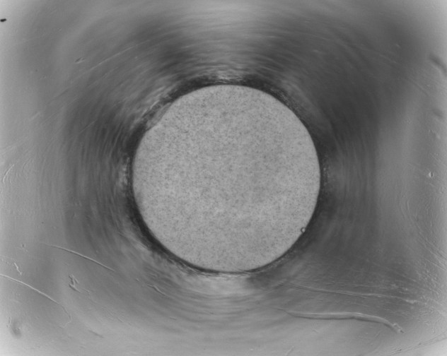 X0000101470032200808041116